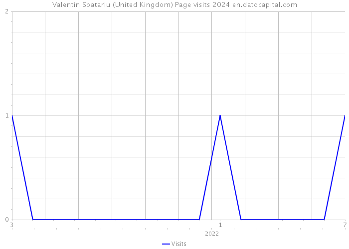 Valentin Spatariu (United Kingdom) Page visits 2024 