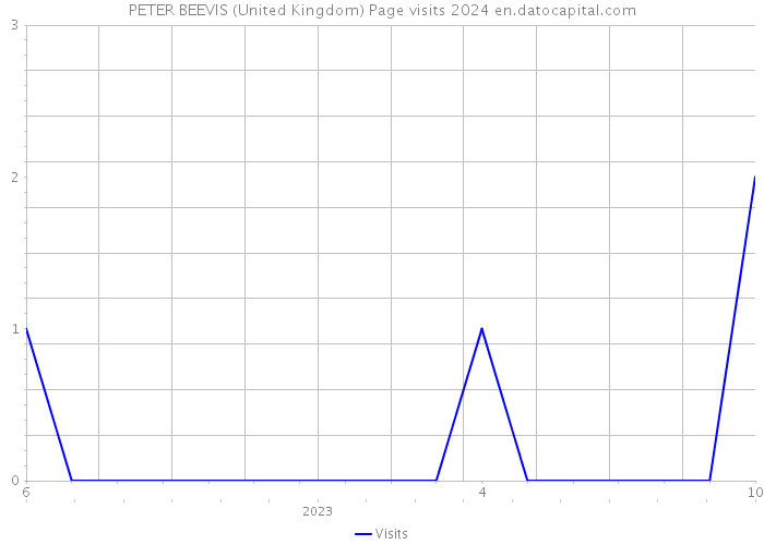 PETER BEEVIS (United Kingdom) Page visits 2024 
