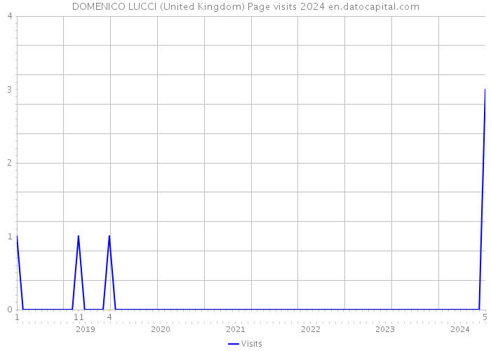 DOMENICO LUCCI (United Kingdom) Page visits 2024 
