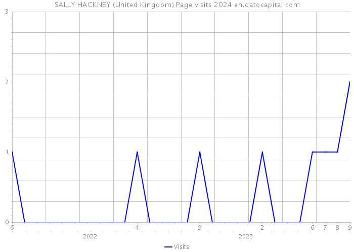 SALLY HACKNEY (United Kingdom) Page visits 2024 