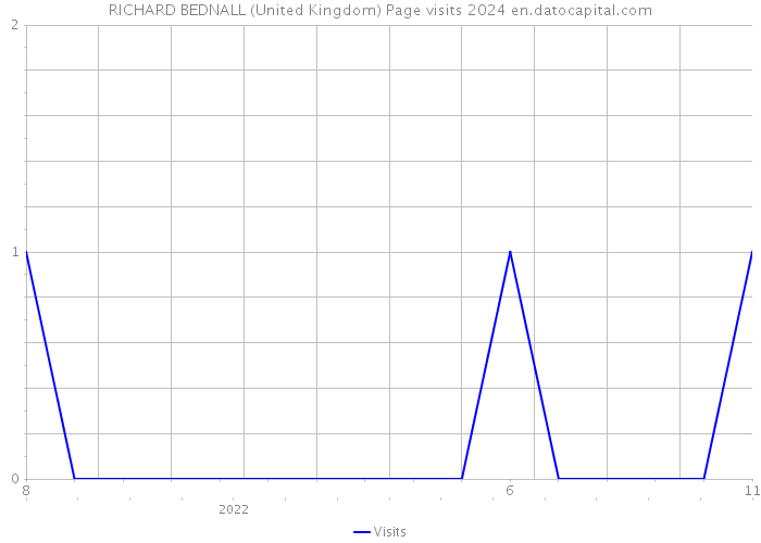 RICHARD BEDNALL (United Kingdom) Page visits 2024 