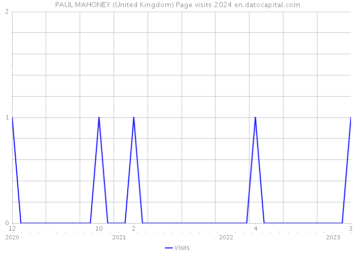 PAUL MAHONEY (United Kingdom) Page visits 2024 