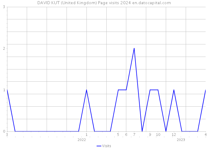 DAVID KUT (United Kingdom) Page visits 2024 
