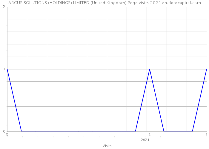 ARCUS SOLUTIONS (HOLDINGS) LIMITED (United Kingdom) Page visits 2024 