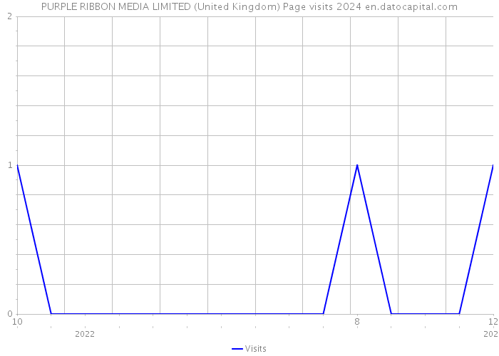 PURPLE RIBBON MEDIA LIMITED (United Kingdom) Page visits 2024 
