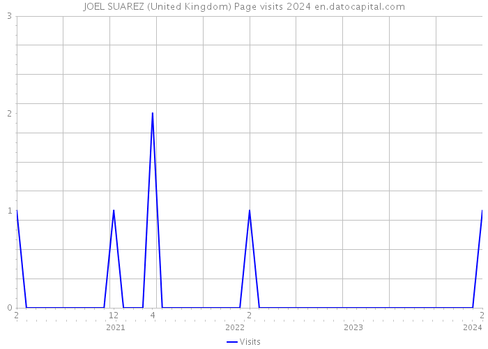 JOEL SUAREZ (United Kingdom) Page visits 2024 