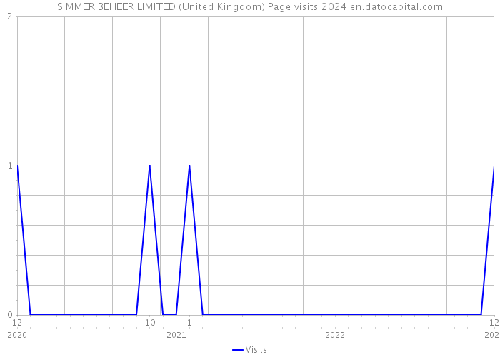SIMMER BEHEER LIMITED (United Kingdom) Page visits 2024 
