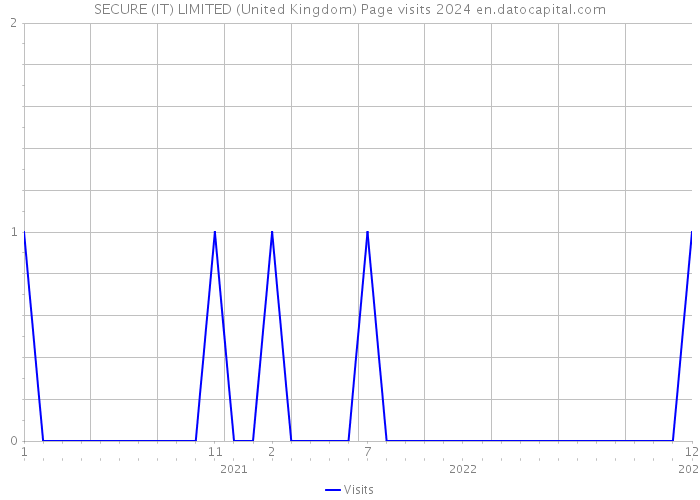 SECURE (IT) LIMITED (United Kingdom) Page visits 2024 