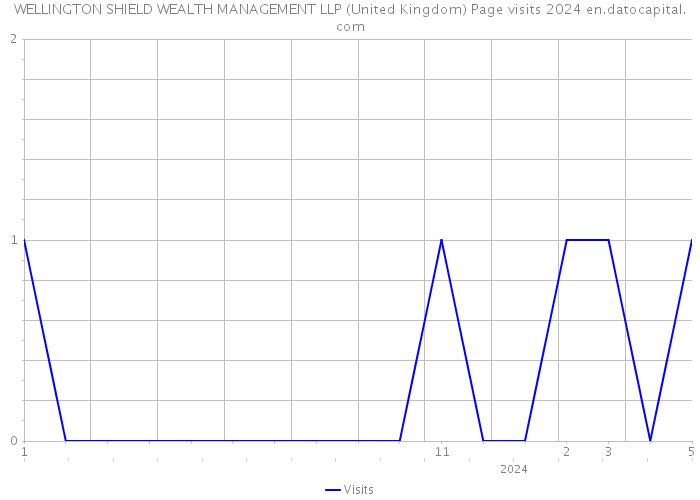 WELLINGTON SHIELD WEALTH MANAGEMENT LLP (United Kingdom) Page visits 2024 