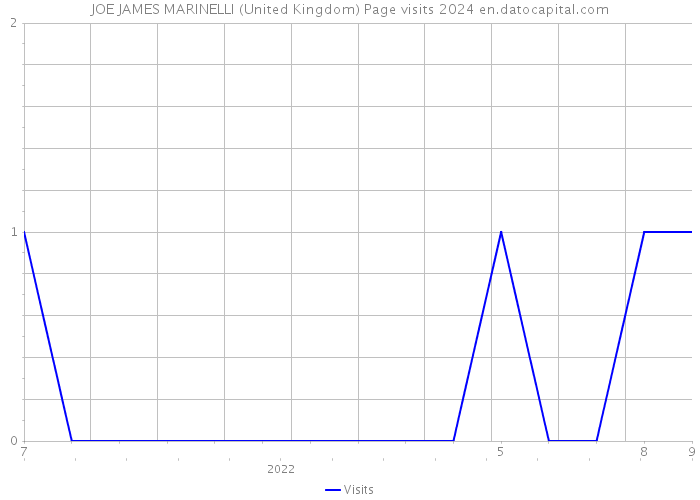 JOE JAMES MARINELLI (United Kingdom) Page visits 2024 