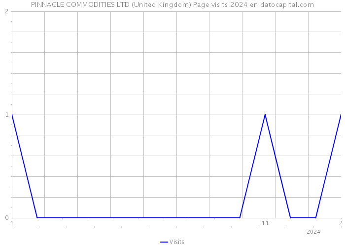 PINNACLE COMMODITIES LTD (United Kingdom) Page visits 2024 