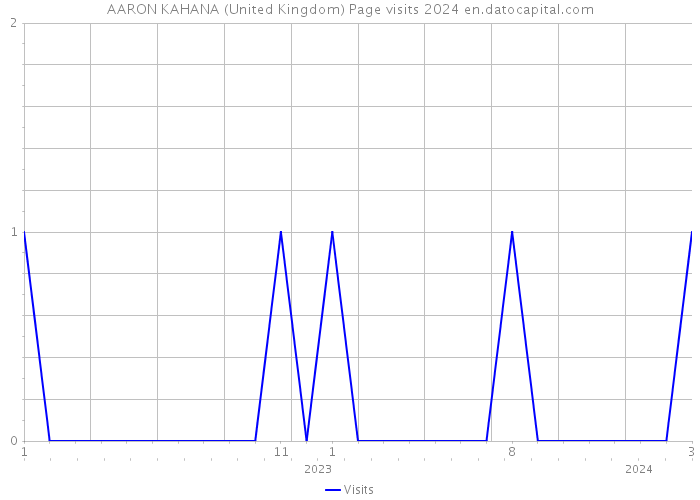 AARON KAHANA (United Kingdom) Page visits 2024 