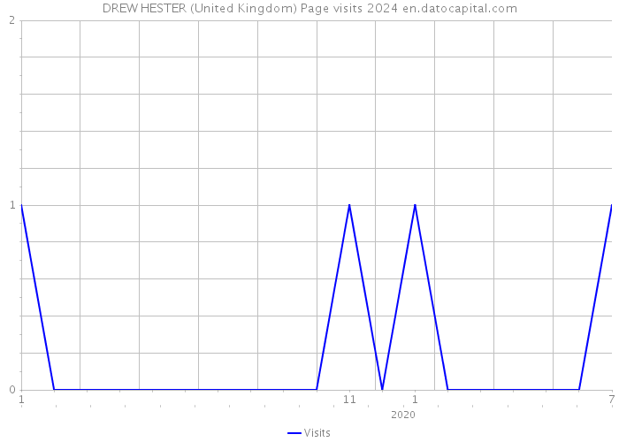 DREW HESTER (United Kingdom) Page visits 2024 