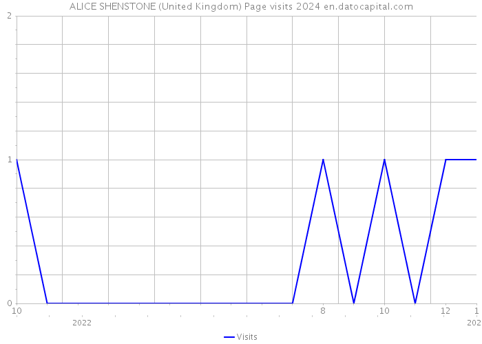 ALICE SHENSTONE (United Kingdom) Page visits 2024 
