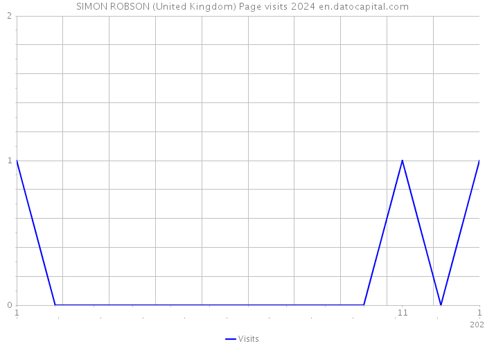 SIMON ROBSON (United Kingdom) Page visits 2024 