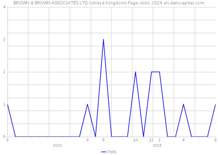 BROWN & BROWN ASSOCIATES LTD (United Kingdom) Page visits 2024 