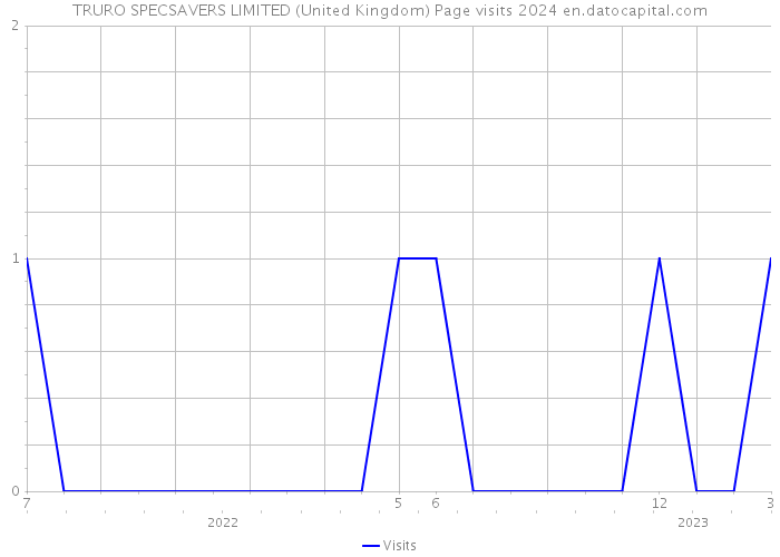 TRURO SPECSAVERS LIMITED (United Kingdom) Page visits 2024 