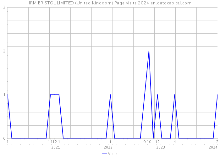IRM BRISTOL LIMITED (United Kingdom) Page visits 2024 