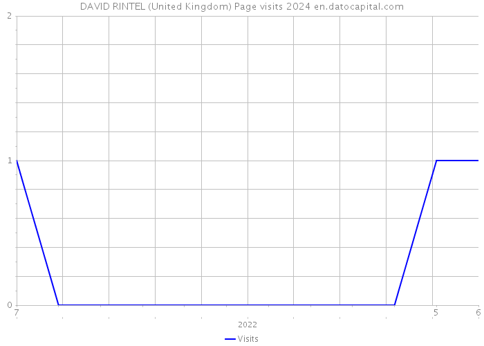 DAVID RINTEL (United Kingdom) Page visits 2024 