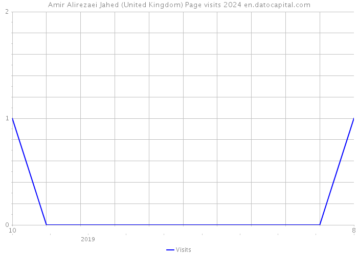 Amir Alirezaei Jahed (United Kingdom) Page visits 2024 