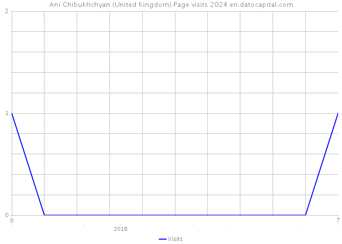 Ani Chibukhchyan (United Kingdom) Page visits 2024 