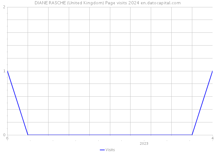 DIANE RASCHE (United Kingdom) Page visits 2024 