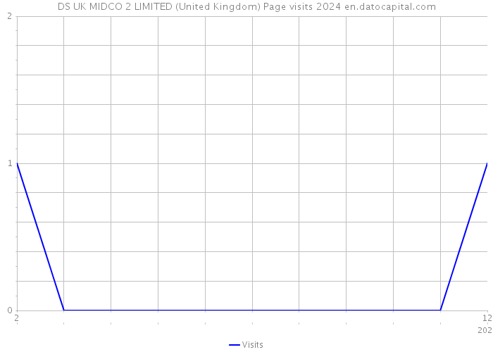 DS UK MIDCO 2 LIMITED (United Kingdom) Page visits 2024 