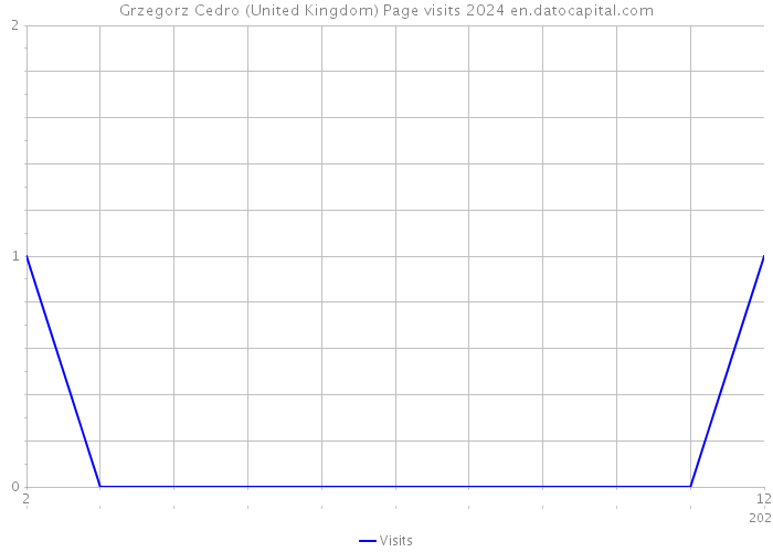 Grzegorz Cedro (United Kingdom) Page visits 2024 