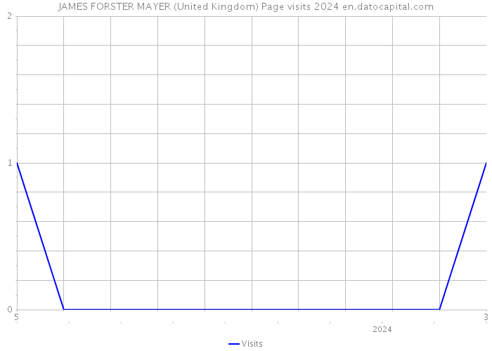 JAMES FORSTER MAYER (United Kingdom) Page visits 2024 
