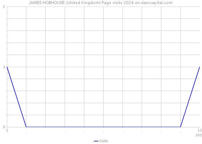 JAMES HOBHOUSE (United Kingdom) Page visits 2024 