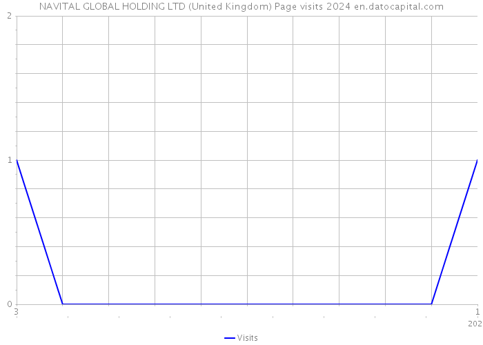 NAVITAL GLOBAL HOLDING LTD (United Kingdom) Page visits 2024 