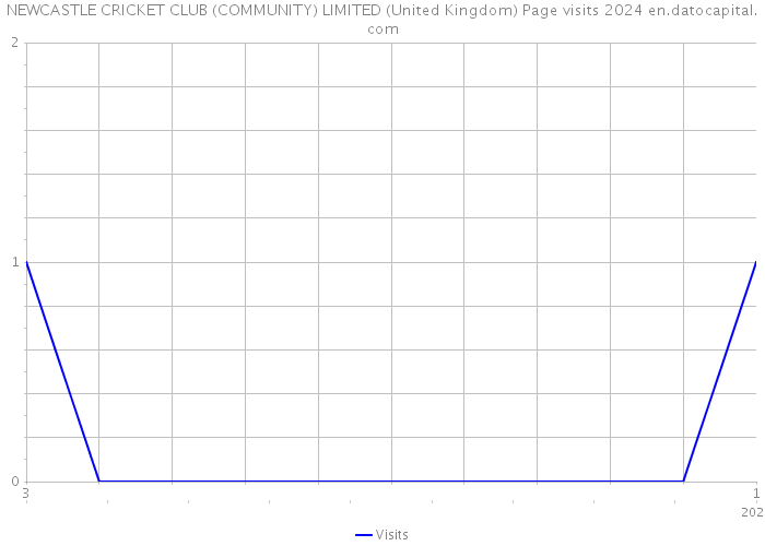 NEWCASTLE CRICKET CLUB (COMMUNITY) LIMITED (United Kingdom) Page visits 2024 