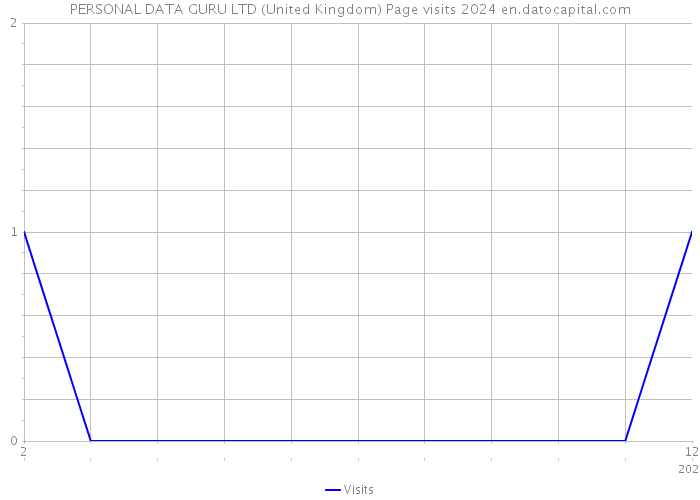 PERSONAL DATA GURU LTD (United Kingdom) Page visits 2024 