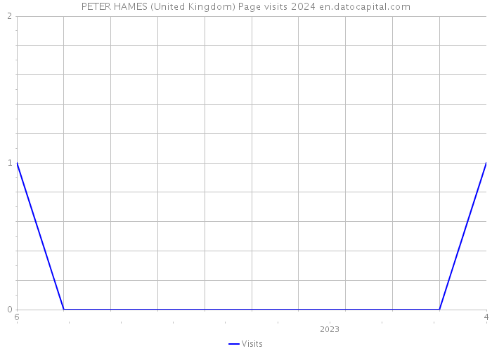 PETER HAMES (United Kingdom) Page visits 2024 