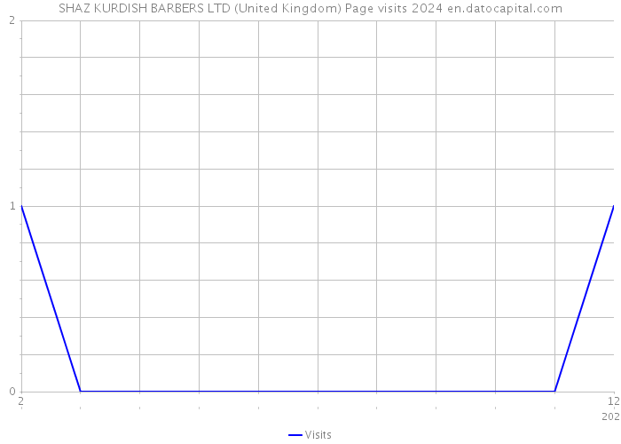 SHAZ KURDISH BARBERS LTD (United Kingdom) Page visits 2024 