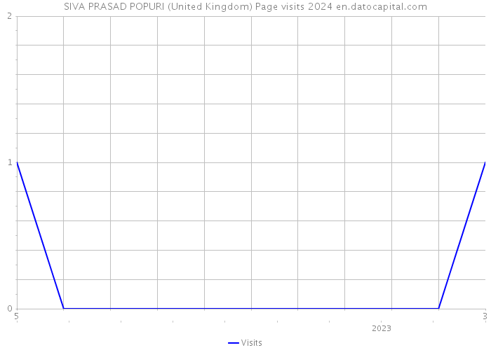 SIVA PRASAD POPURI (United Kingdom) Page visits 2024 