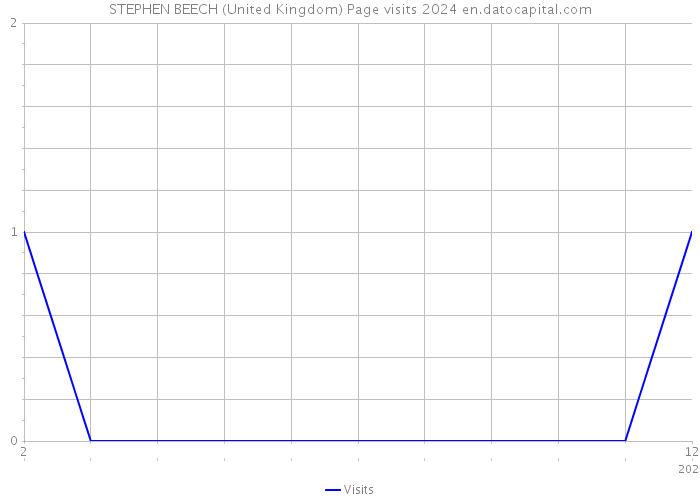 STEPHEN BEECH (United Kingdom) Page visits 2024 