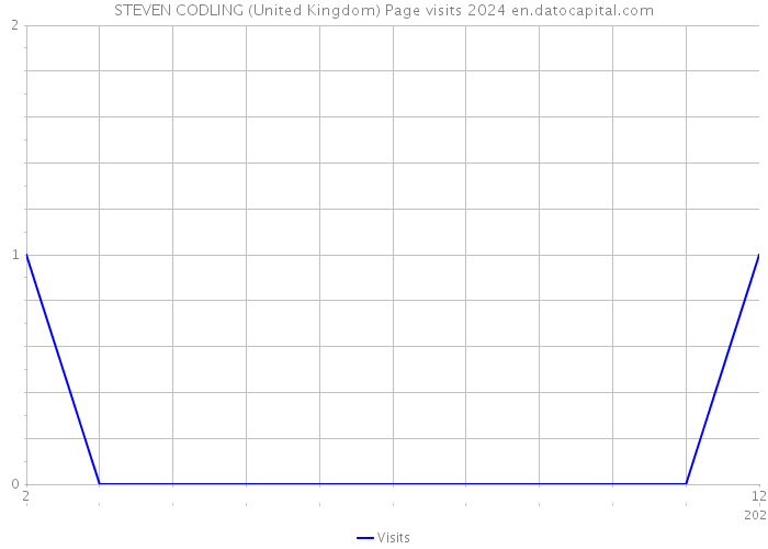 STEVEN CODLING (United Kingdom) Page visits 2024 