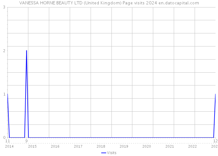 VANESSA HORNE BEAUTY LTD (United Kingdom) Page visits 2024 