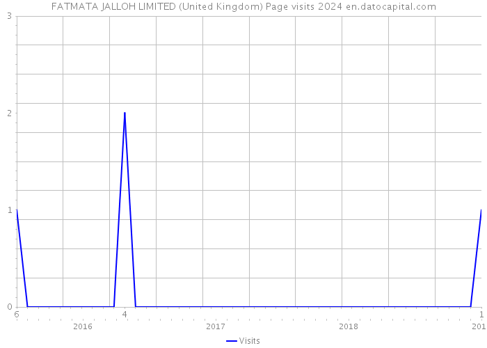 FATMATA JALLOH LIMITED (United Kingdom) Page visits 2024 
