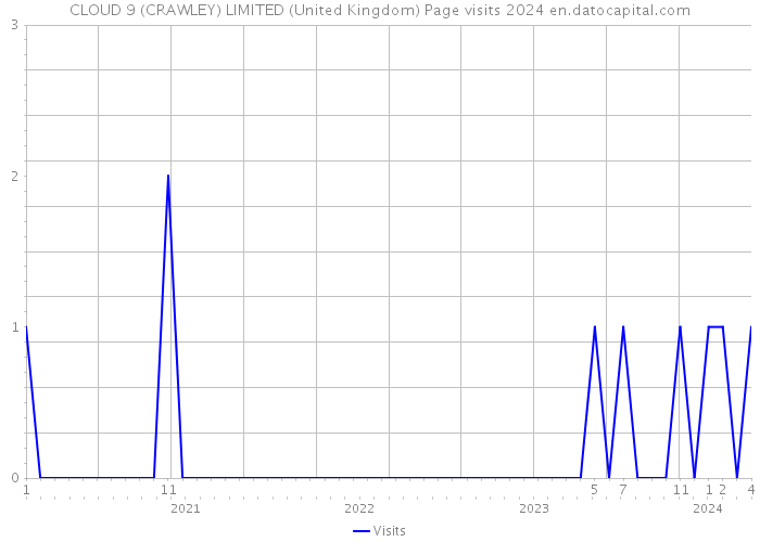 CLOUD 9 (CRAWLEY) LIMITED (United Kingdom) Page visits 2024 