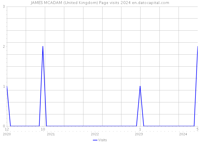 JAMES MCADAM (United Kingdom) Page visits 2024 