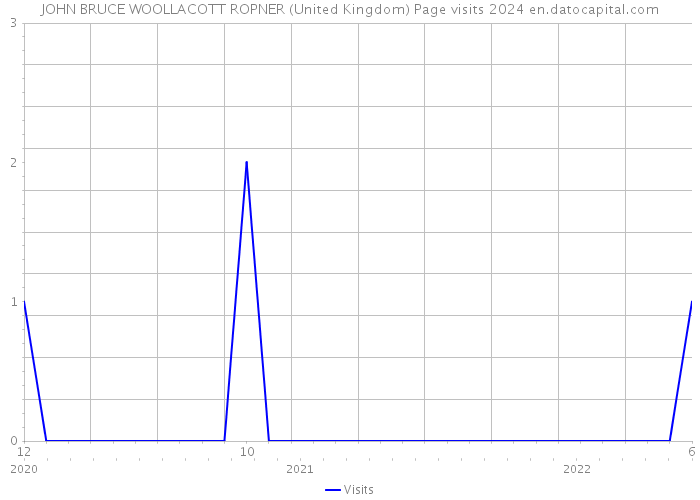 JOHN BRUCE WOOLLACOTT ROPNER (United Kingdom) Page visits 2024 