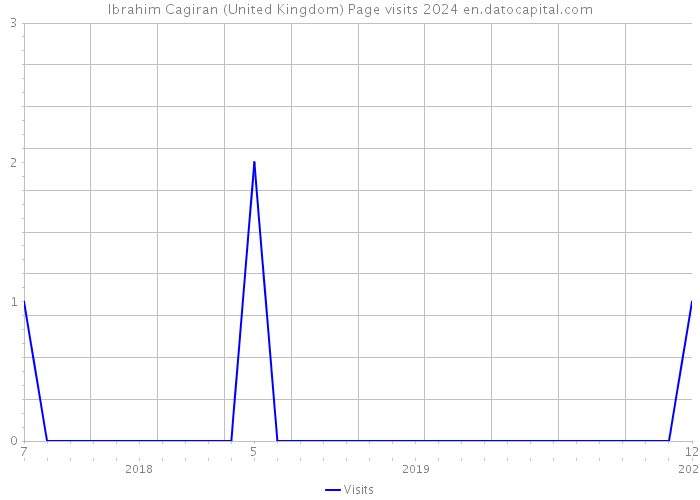 Ibrahim Cagiran (United Kingdom) Page visits 2024 