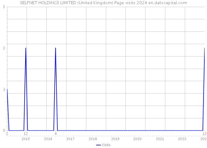 SELFNET HOLDINGS LIMITED (United Kingdom) Page visits 2024 