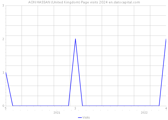 AON HASSAN (United Kingdom) Page visits 2024 