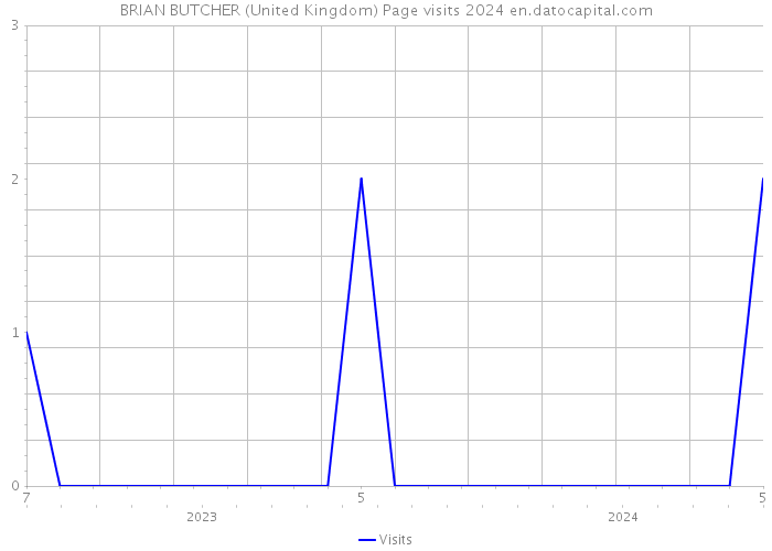 BRIAN BUTCHER (United Kingdom) Page visits 2024 