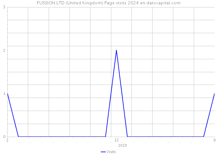 FUSSION LTD (United Kingdom) Page visits 2024 