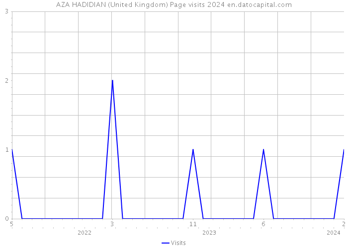 AZA HADIDIAN (United Kingdom) Page visits 2024 