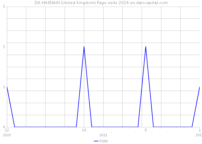 ZIA HASNAIN (United Kingdom) Page visits 2024 